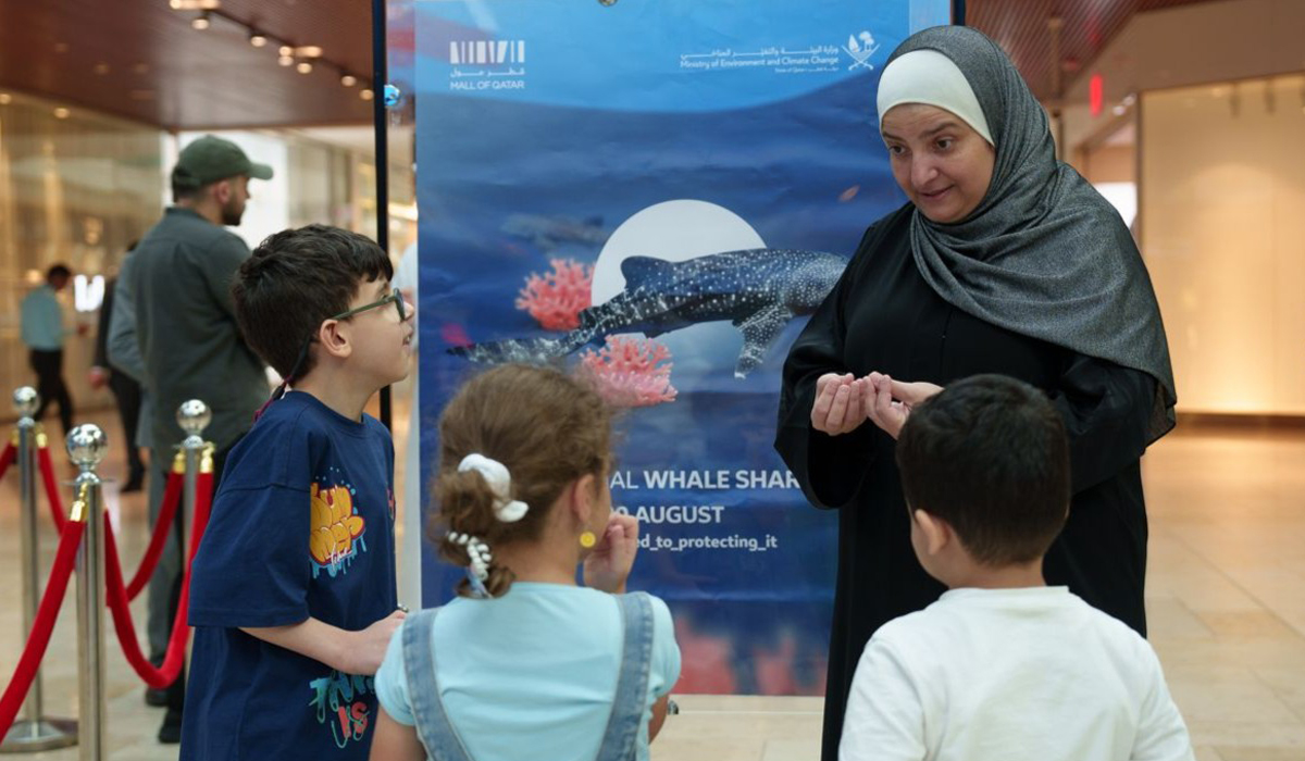 Environment Ministry Organizes Awareness Campaign to Mark Whale Shark Day